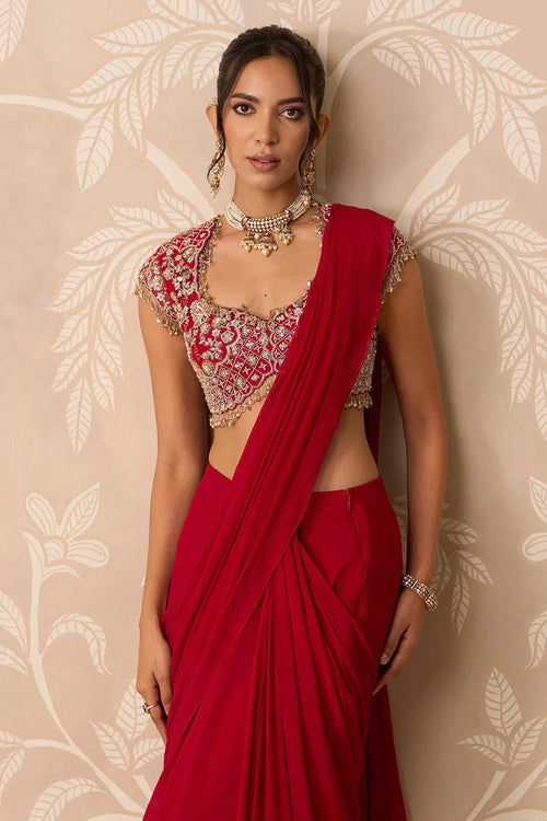Dilruba Saree Set