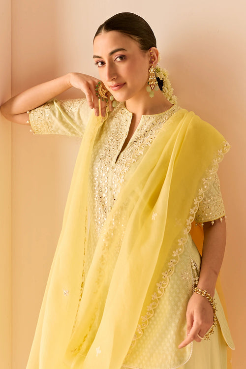 Anaisha Mint Green Short Kurta with Farshi Salwar and Dupatta