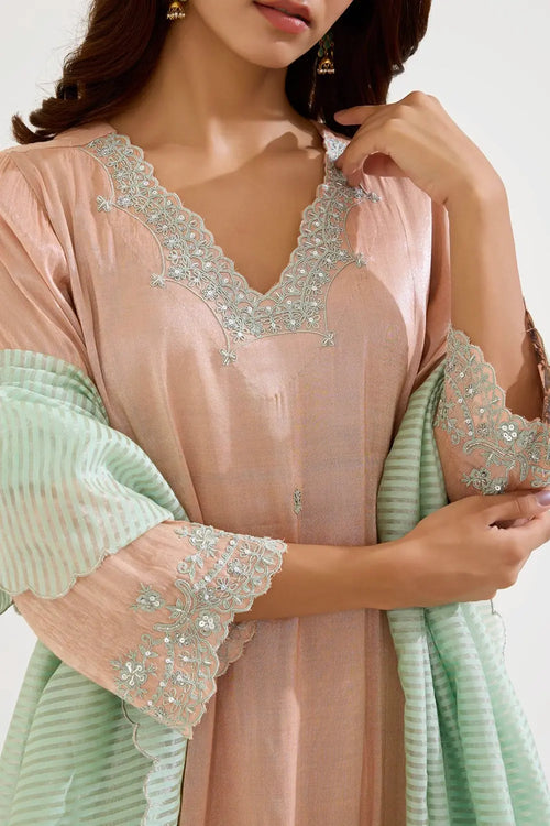 Rose Mint Dori Tissue Kurta Set
