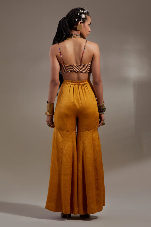 Yellow Topaz Jamuni Anka Veni Dupatta Jacket Set