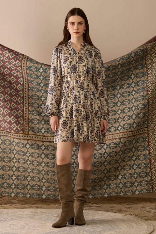 Ray Printed Mini Dress