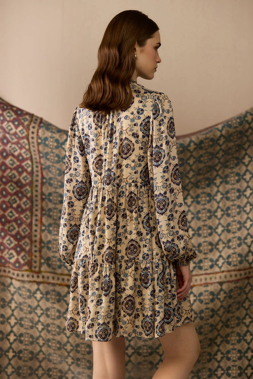 Ray Printed Mini Dress