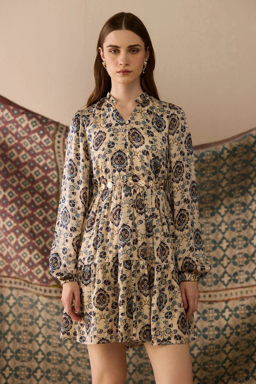 Ray Printed Mini Dress