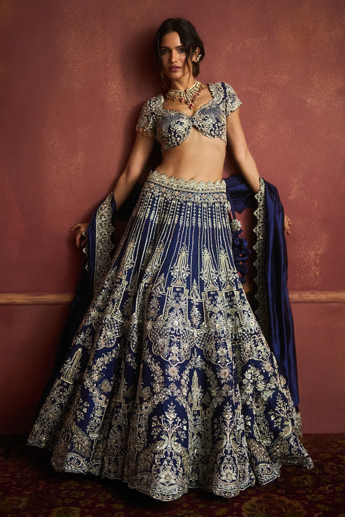 Mor Lehenga Set
