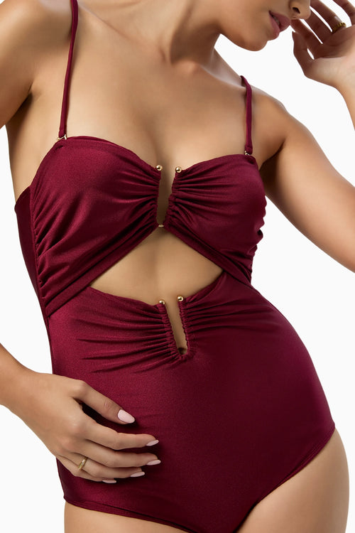 Garnet Shadow One Piece Swimsuit