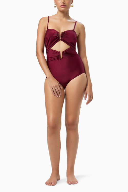 Garnet Shadow One Piece Swimsuit