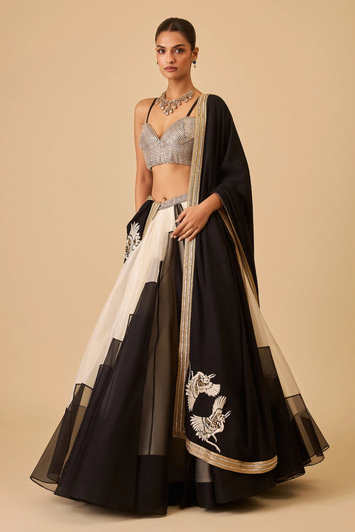 Mirass Crystal Lehenga Set