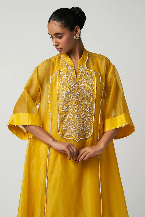 Amber Gul-E-Mehrab Organza Kurta Set