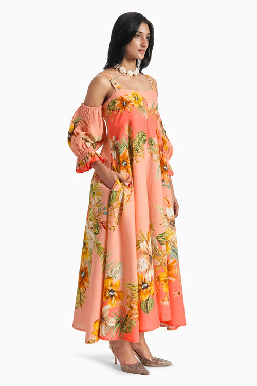 Parisa Dress