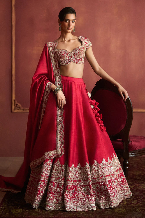 Minari Lehenga Set