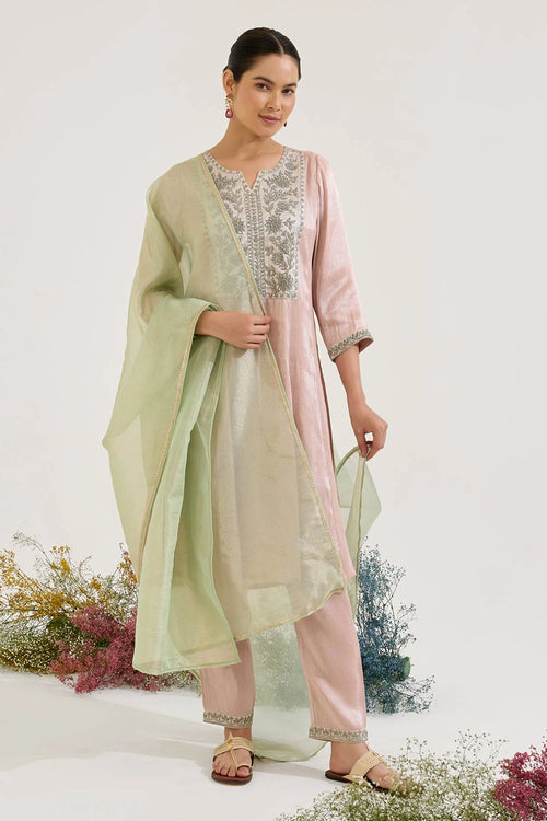 Rosy Dori Tissue Anarkali Set