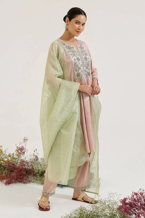Rosy Dori Tissue Anarkali Set
