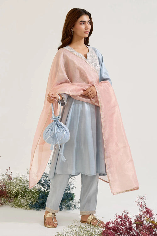 Sky Dori Tissue Anarkali Set