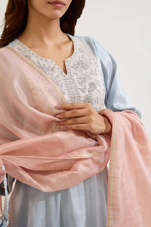 Sky Dori Tissue Anarkali Set