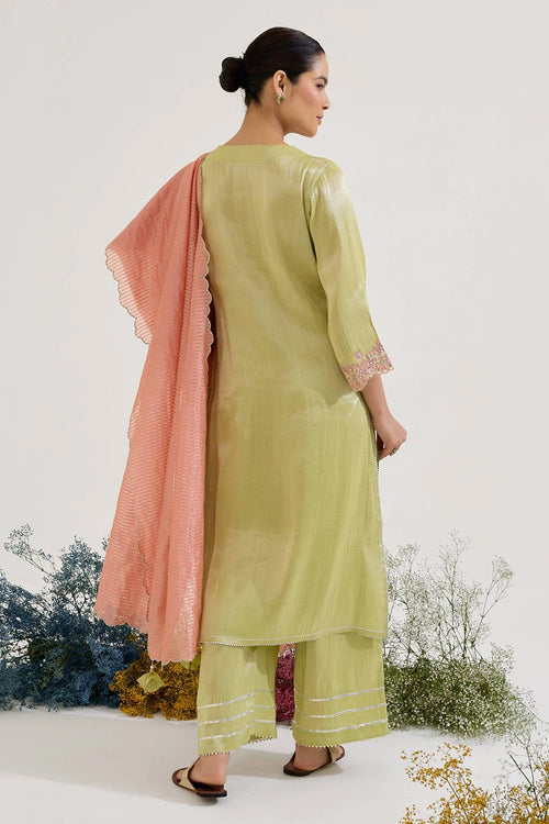 Lime Rose Dori Tissue Kurta Set