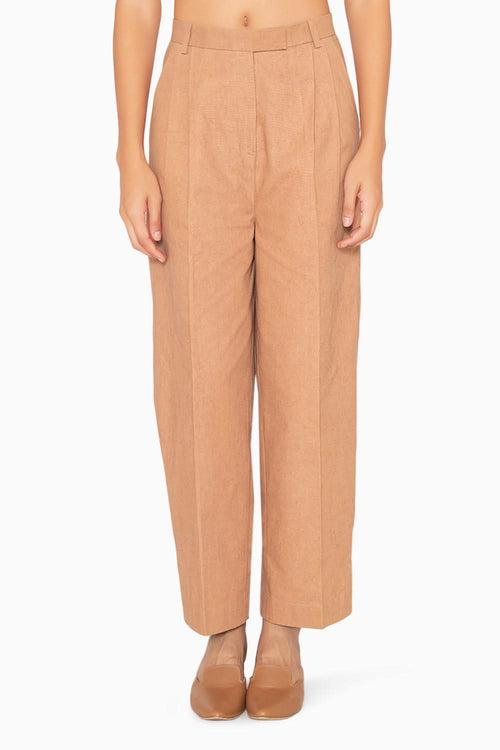 Luminous Land Brown Pants