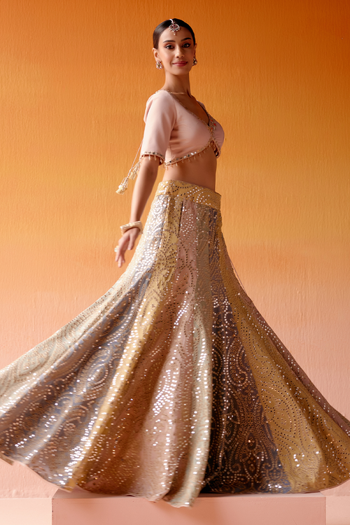 Multi Color Block Lehenga