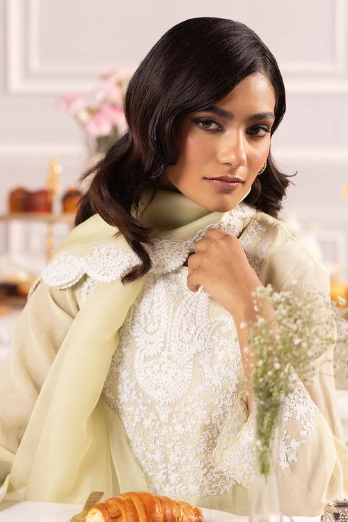 Afreen Mint Green Suit Set