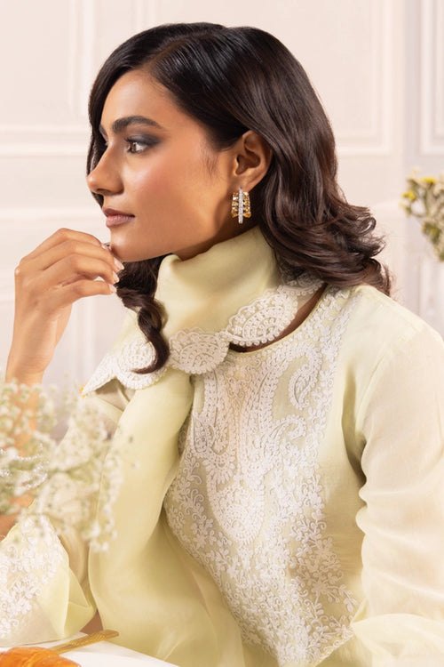 Afreen Mint Green Suit Set
