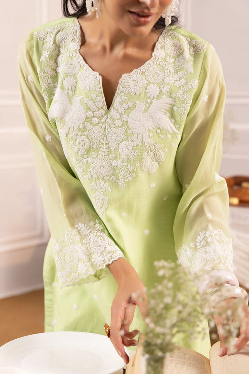 Parinda Green Suit Set