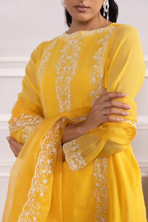 Nikhaar Mustard Kurta Set