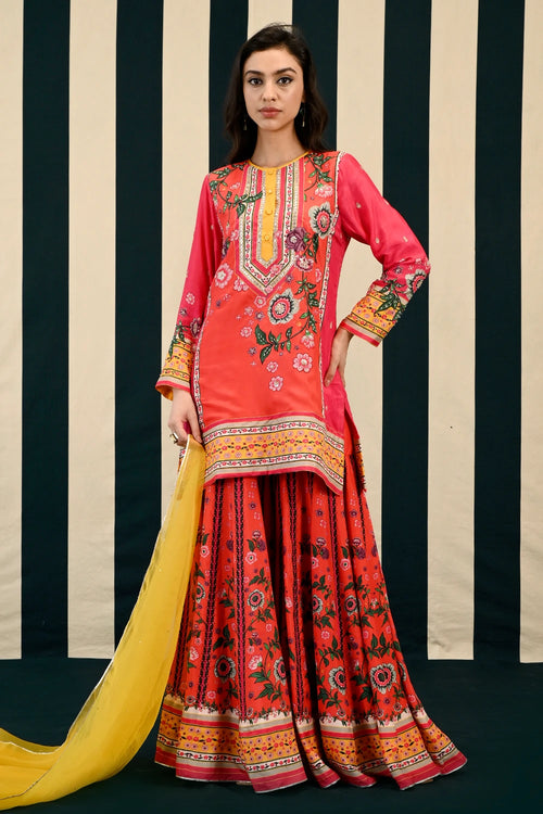 Gulmohar Laila Sharara Set