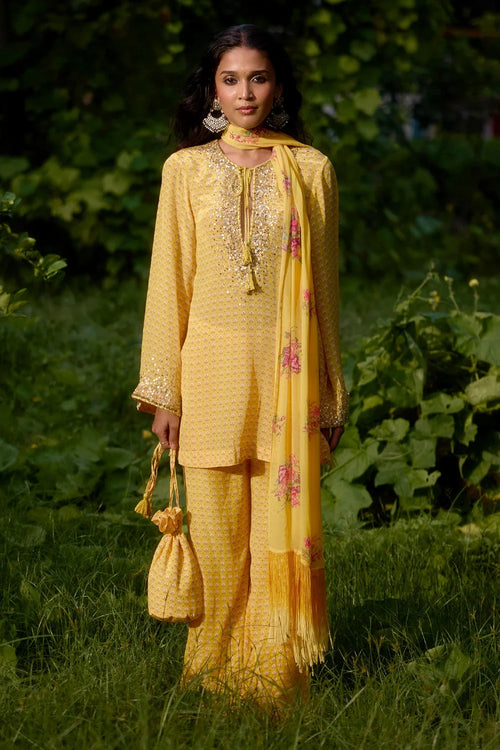 Dilruba Yellow Kurta Set