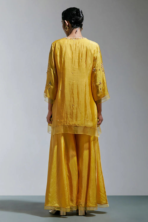 Amber Abstract Floral Embroidered Silk Sharara Set