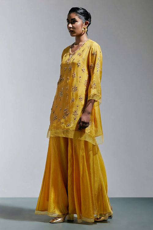 Amber Abstract Floral Embroidered Silk Sharara Set