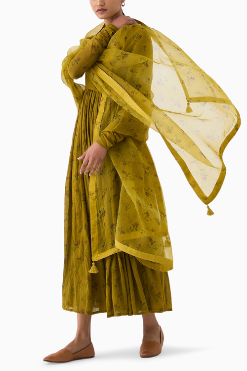 Chintz Ochre Yellow Organza Dupatta