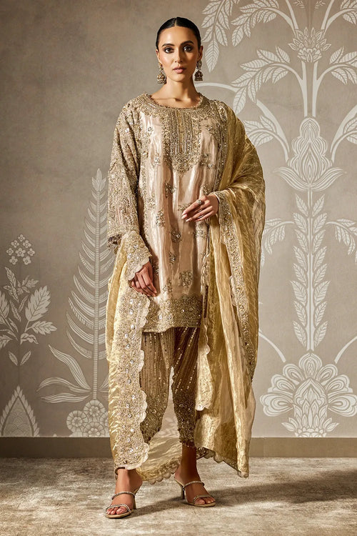 Roshni Kurta Set