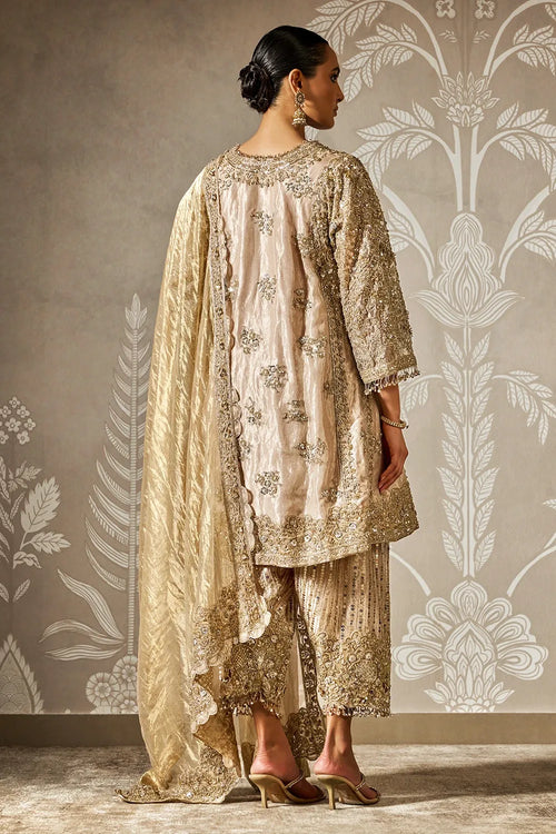 Roshni Kurta Set