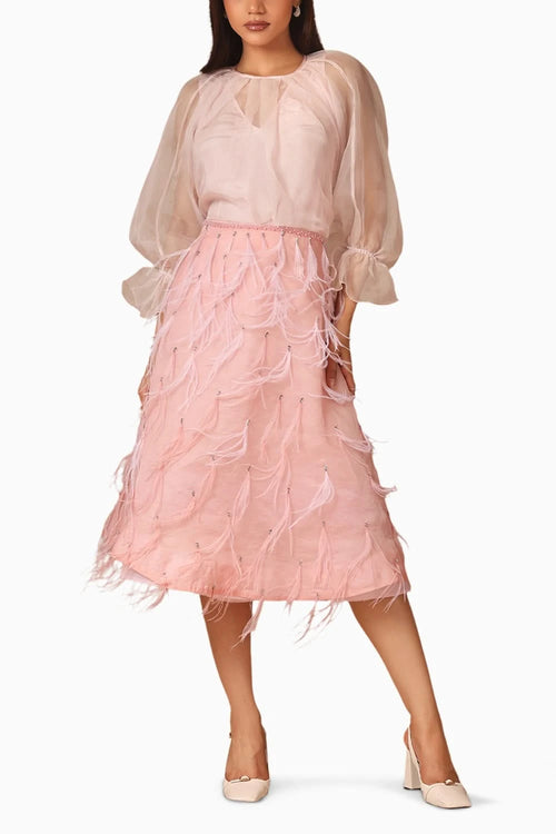Pink Feather Skirt and Organza Top With Slip
