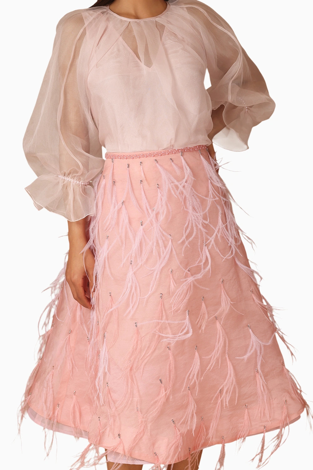 Pink Feather Skirt and Organza Top With Slip