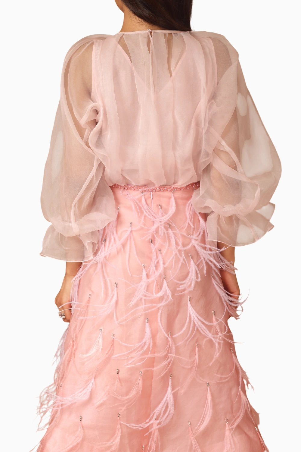 Pink Feather Skirt and Organza Top With Slip