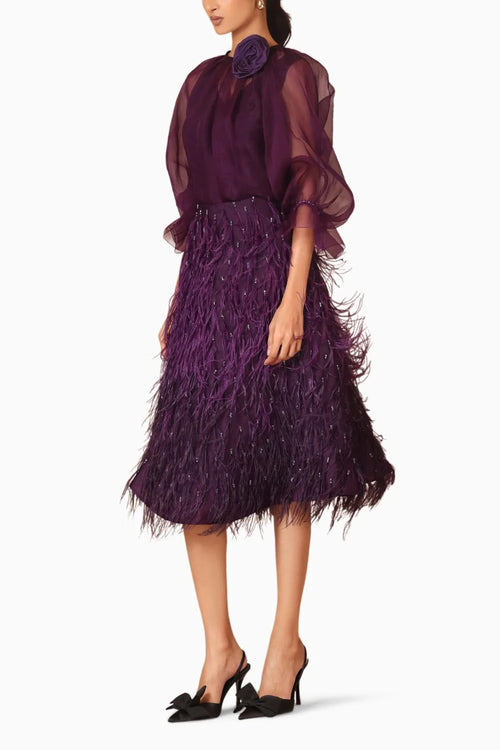 Feather Skirt and Organza Top With Slip
