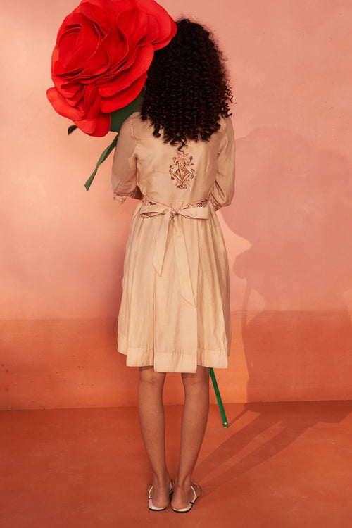 Chandni Chanderi Blush Dress