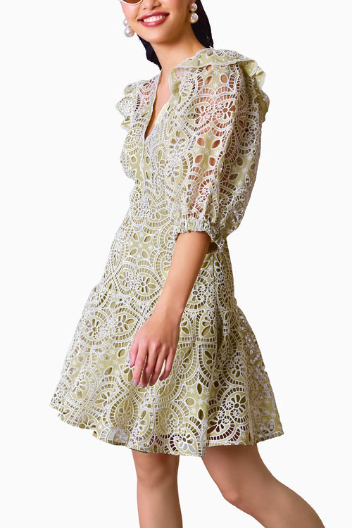 Pistachio Green Lace Elegance Dress
