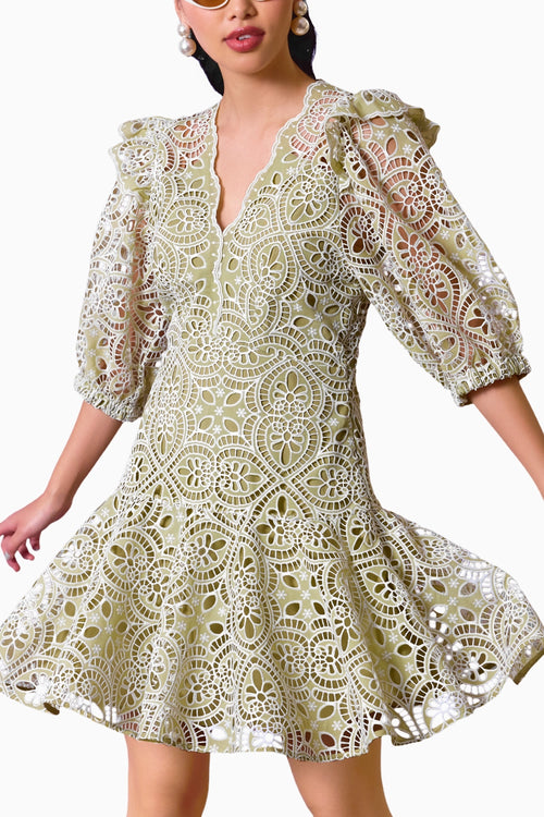 Pistachio Green Lace Elegance Dress