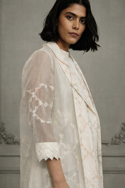 Ivory Embroidered Organza Jacket with Linen Dress