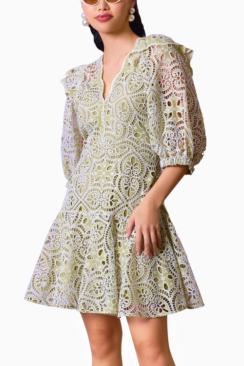 Pistachio Green Lace Elegance Dress