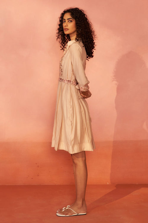 Chandni Chanderi Blush Dress