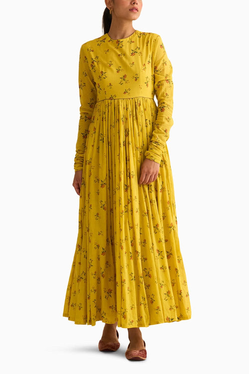Chintz Yellow Ghoomar Anarkali Set