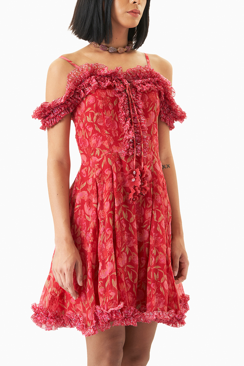 Scarlet Dress