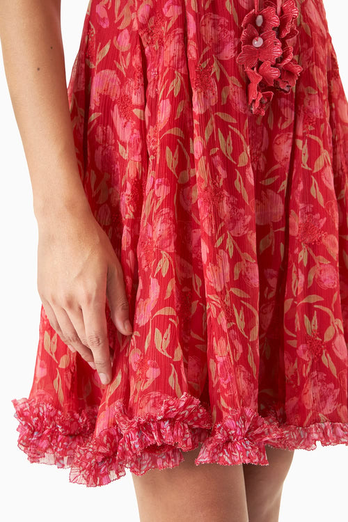 Scarlet Dress