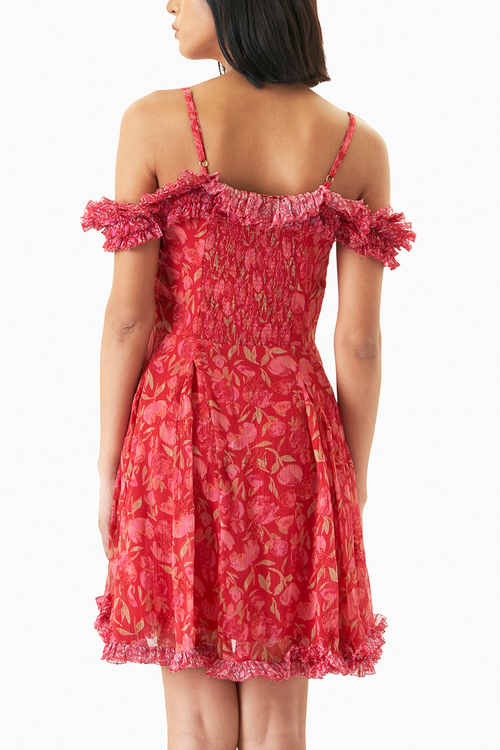 Scarlet Dress