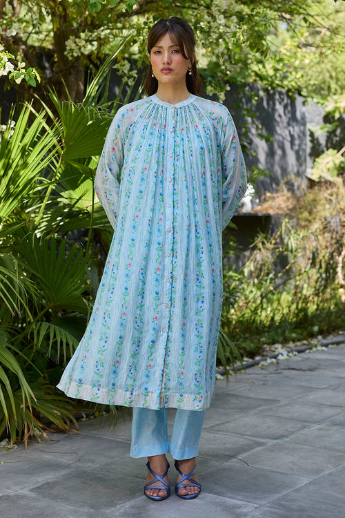 Hidden Orchard Blue Kurta Set