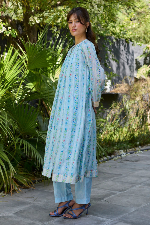 Hidden Orchard Blue Kurta Set