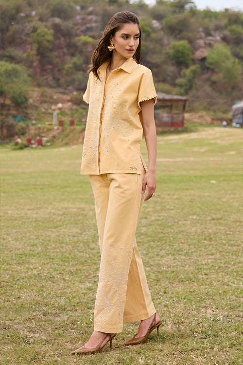 Felicity Pant