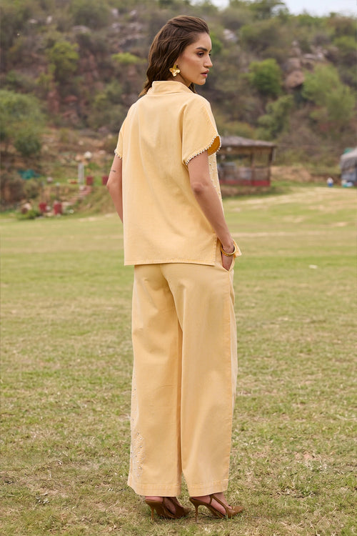 Felicity Pant